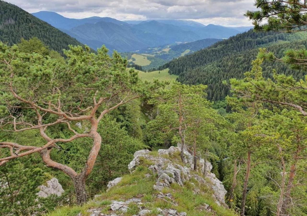 Apartmány Fatrapark Hrabovo Ruzomberok Esterno foto